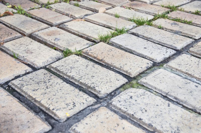 Brick Flatwork Repair in Snohomish County, WA