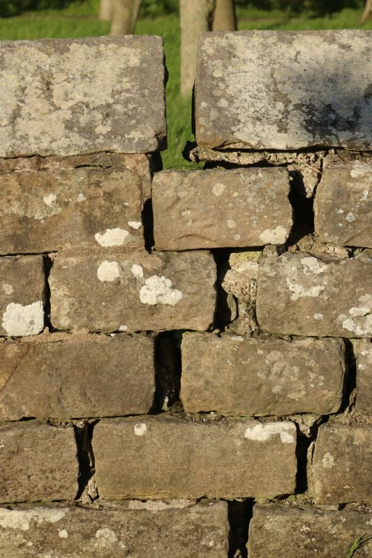 Stone Wall Repair in Bothell, WA